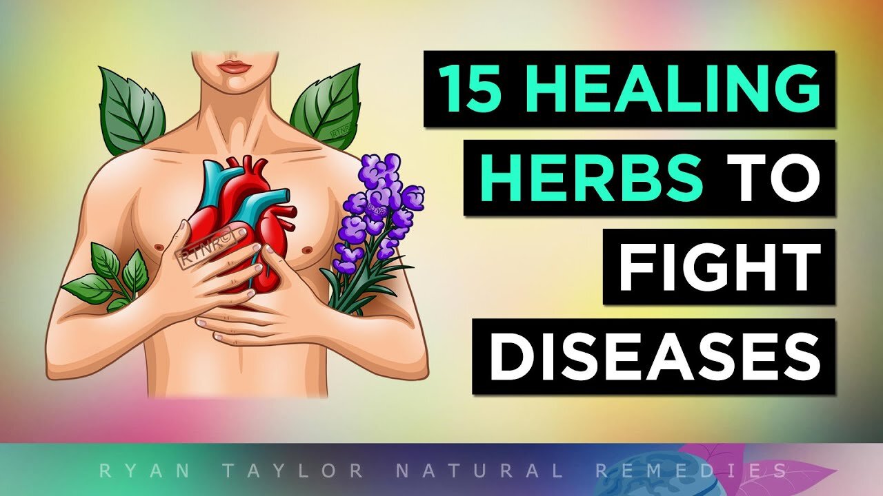 15 Most POWERFUL Medicinal Herbs To Heal Your Body