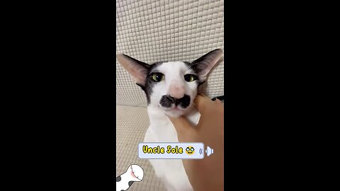 Funny