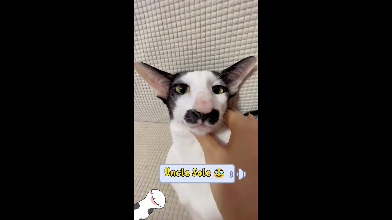 Funny