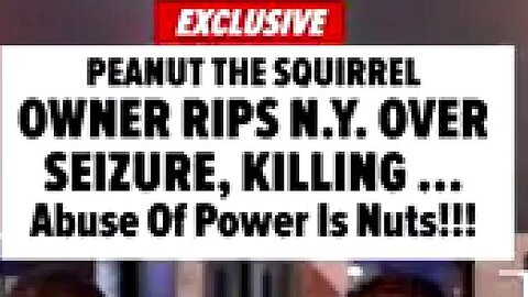 FAMOUS TIKTOK SQUIRREL EUTHANIZED AFTER IT WAS TAKEN FROM OWNERS IN NEW YORK... 🐿️