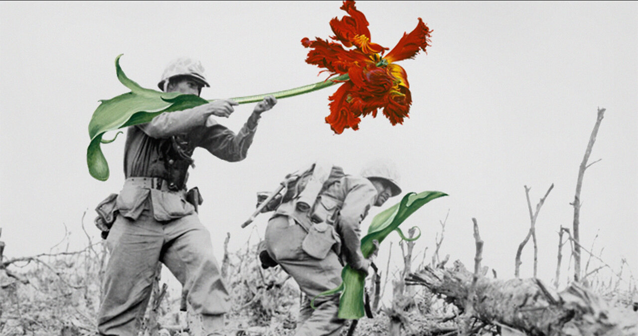 It's International Conscientious Objectors Day