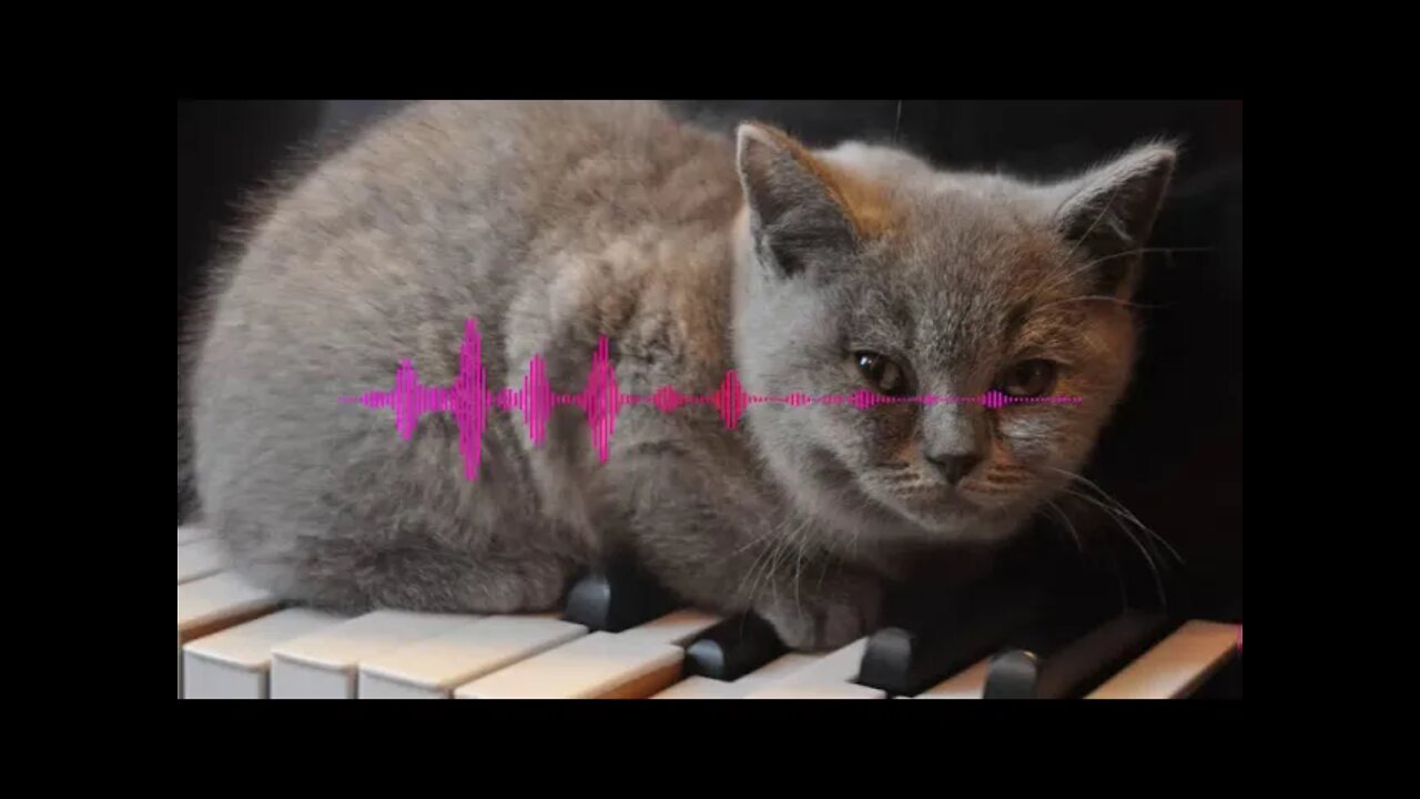 🎶🎻 Classical Music Hovering Thoughts no copyright Música Clássica Livre de direitos autorais