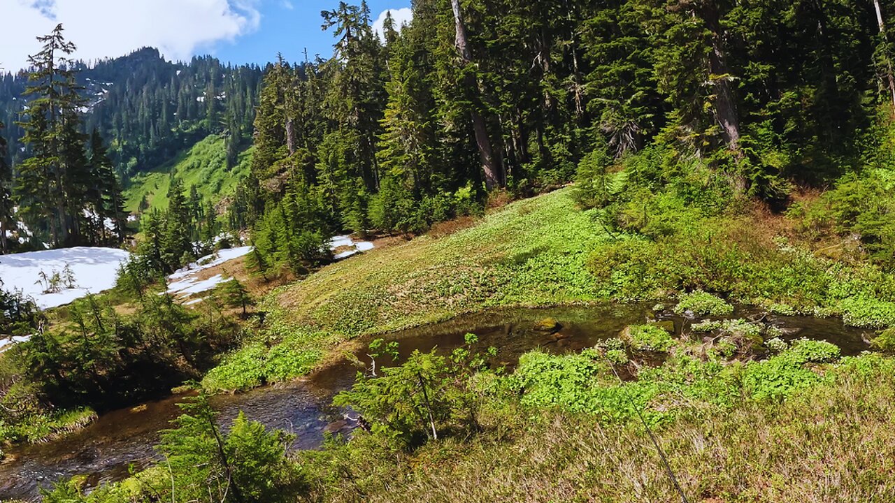 AMAZING- Alpine Trout SPAWNING In Outlet Stream of Mountain Lake @ 4100ft Part 1