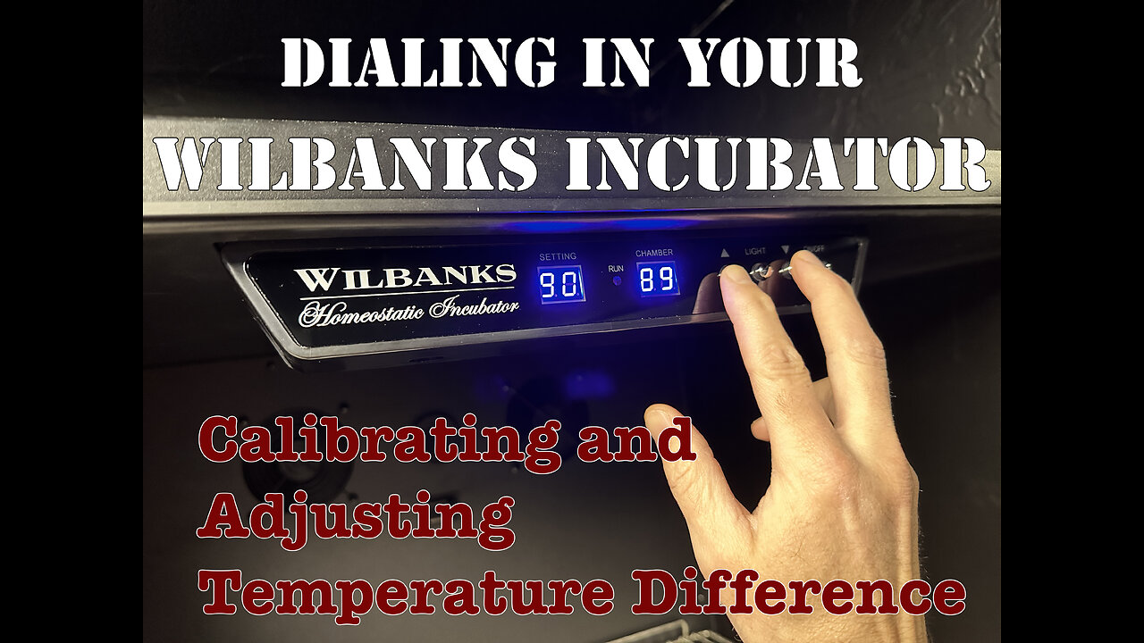 Dialing In Your Wilbanks Incubator - Calibrating and Adjusting Temperature Difference