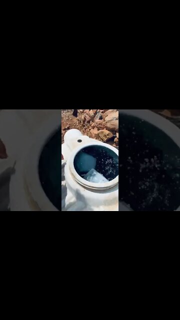 #shorts #2022 funny,prank,funjokes,dad jokes,funny memes,funny video,fun,laughing,funny animal,knock