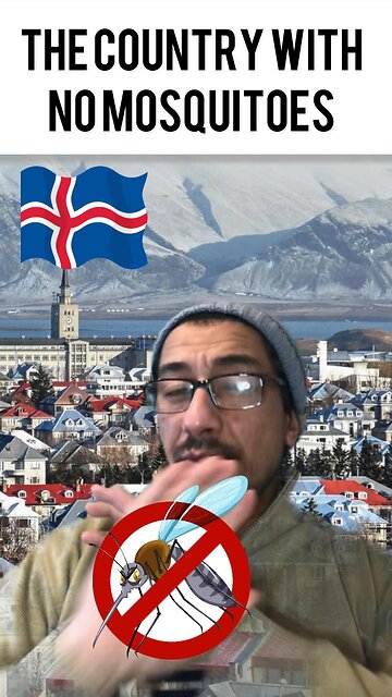 The Country With No Mosquitoes #shorts