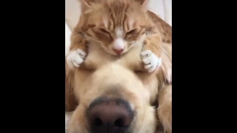 Best buds
