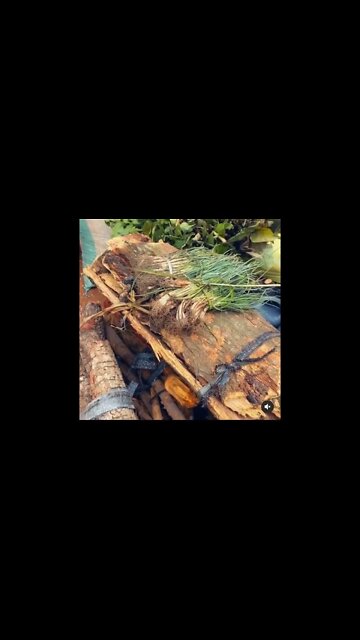 Dr Ewi 1 herbal medicine