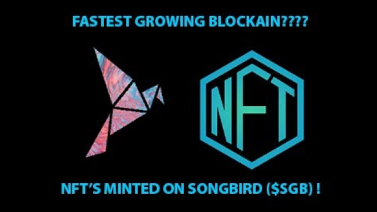 Songbird Fastest Growing Blockchain??? NFT's Minted on Songbird ($SGB) Blockchain! Coinbase Scandal!