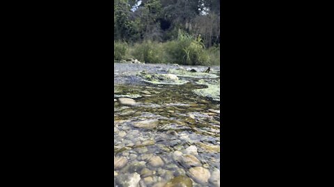 Texas creek rock hunt