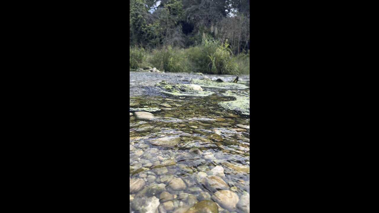 Texas creek rock hunt