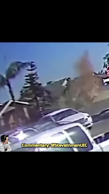 Rest In Pieces to the palm trees.