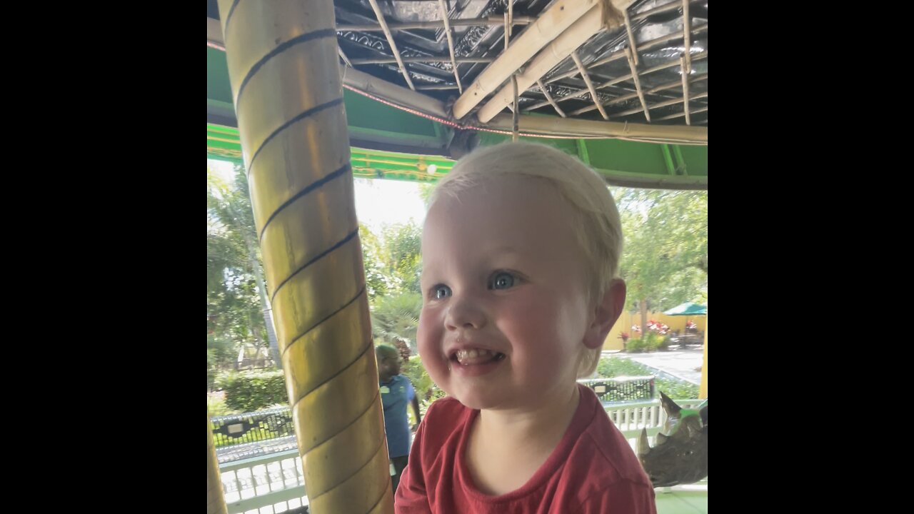 Toddler Gets So Excited When The Carousel Starts Going!