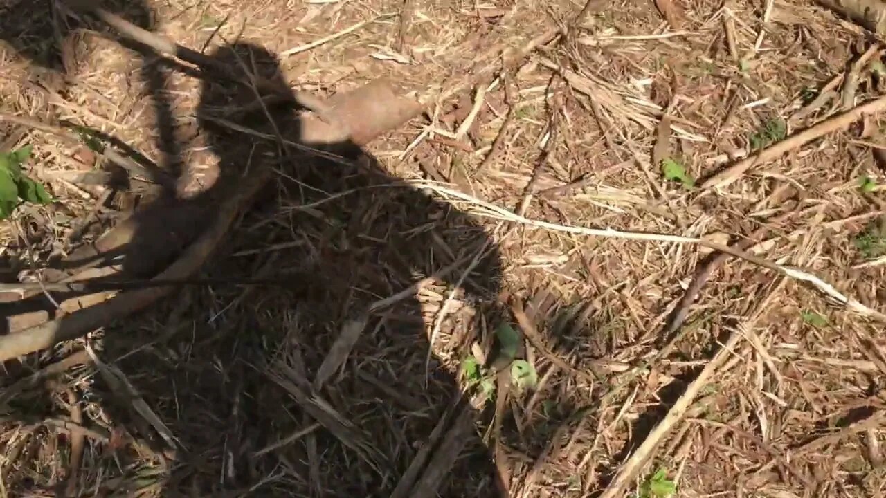 The value of land inventory and mapping to increase value