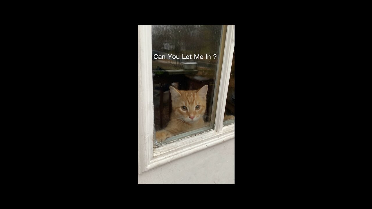 Can You Let Me In