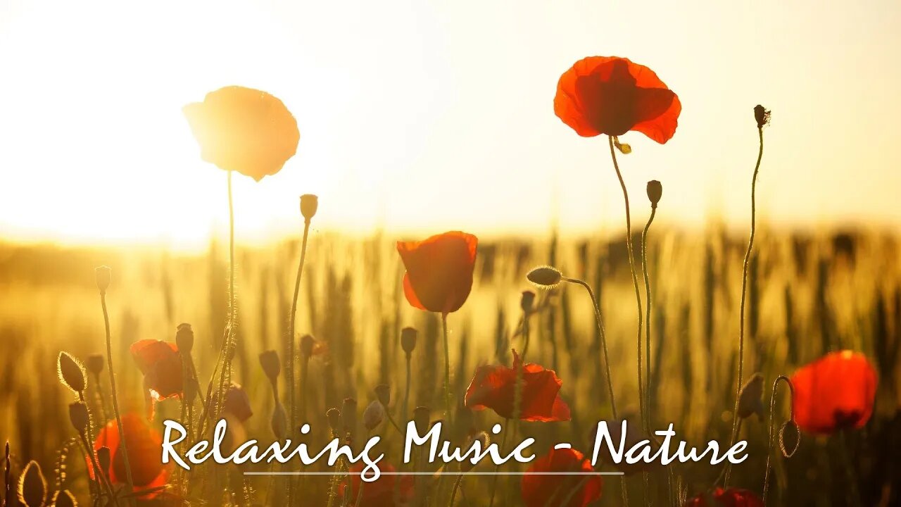 [3 HOURS] of calming, relaxing music for study, meditation, sleep, yoga, Reiki or massage - "Nature"