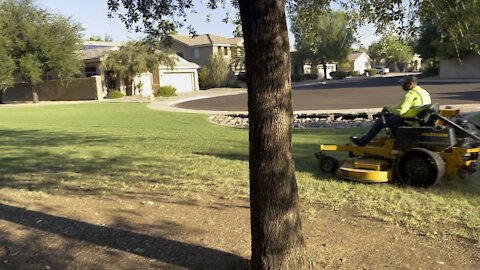 Speed cutting grass