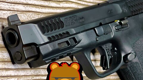 10MM Smith and Wesson M&P 2.0 4.6" Full Review...Alaska Bear Defense Worthy or No?