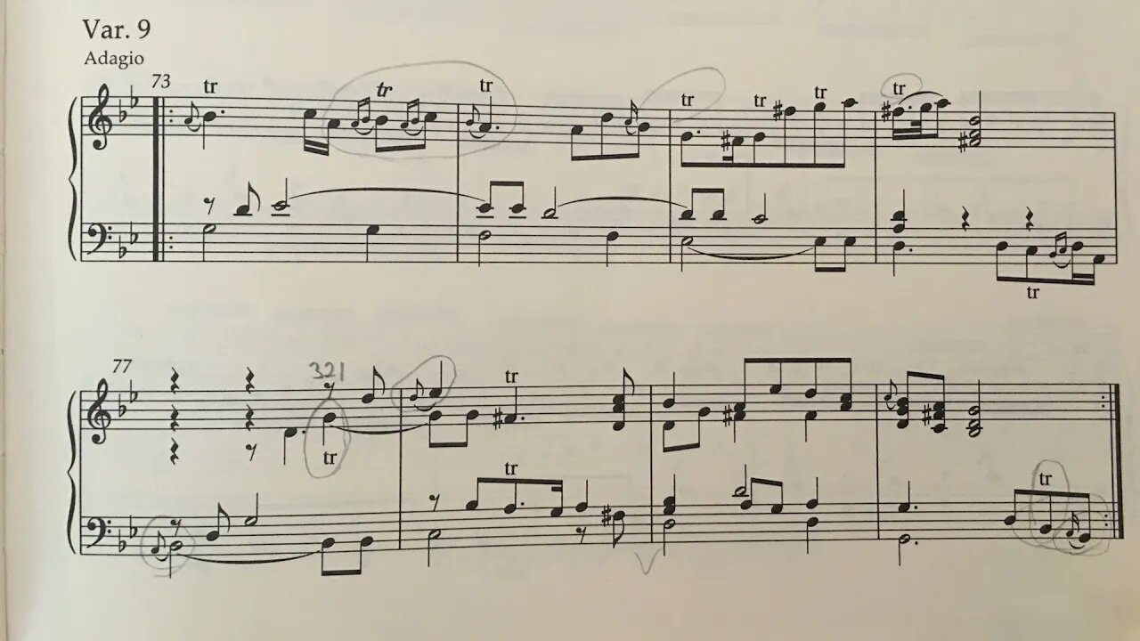 Ornamentation possibilities | Handel Chaconne in G major Variation no. 9 HWV 435