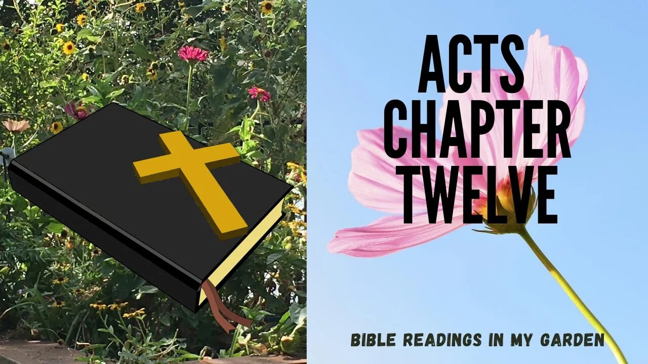 ACTS Chapter 12 | NRSV Bible