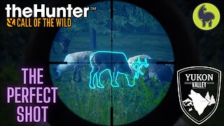 The Perfect Shot, Yukon Valley | theHunter: Call of the Wild (PS5 4K)