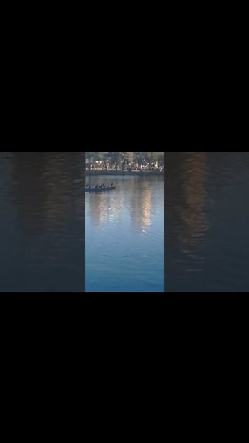 no parque barueri 6 #shorts