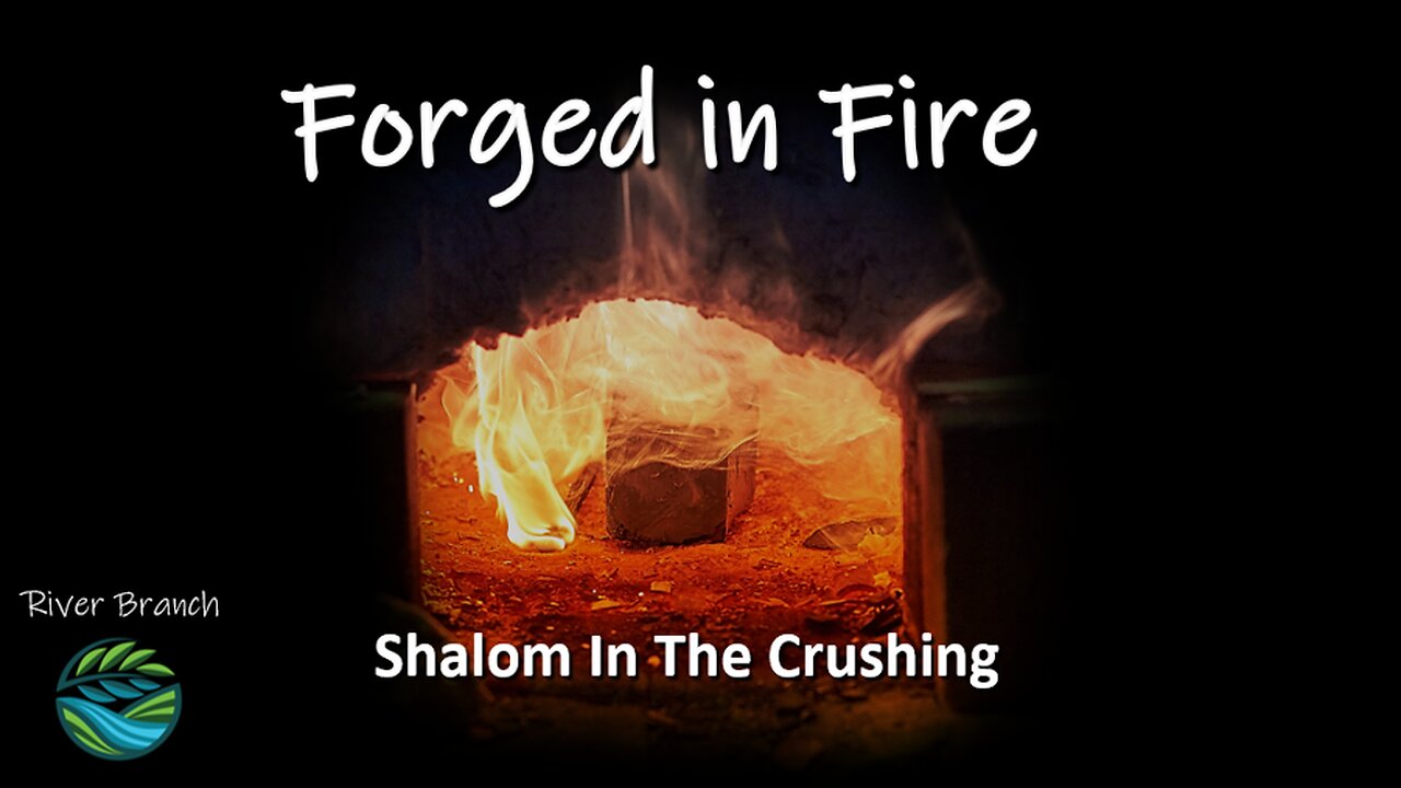 Forged in Fire - Shalom in The Crushing