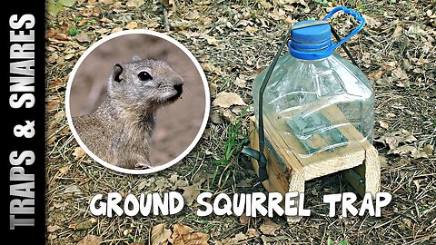 GROUND SQUIRREL TRAP