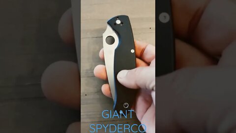 SPYDERCO RESILIENCE NICE LAEGE POCKET FOLDER