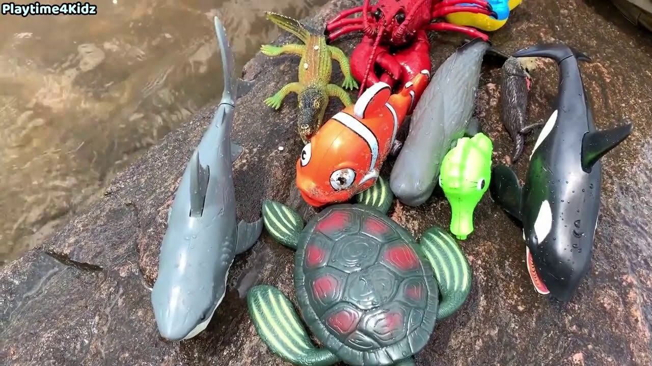 Sea animal toys this summer on the coast, you'll love