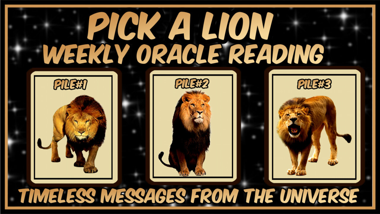 Pick A Pile l Weekly Oracle Reading l Messages From The Universe l Timeless Reading 🦁🦁🦁