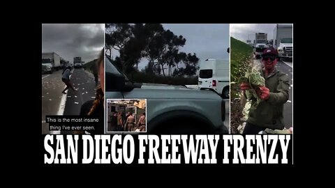 Armored truck scatters cash on San Diego freeway