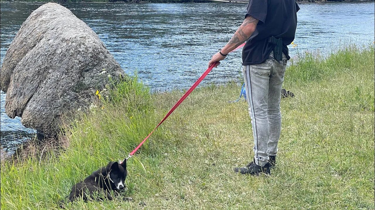 Forrest Fenn 21 lbs across 9 mile hole 😂 See you all next Sunday Live as I’m still in Yellowstone