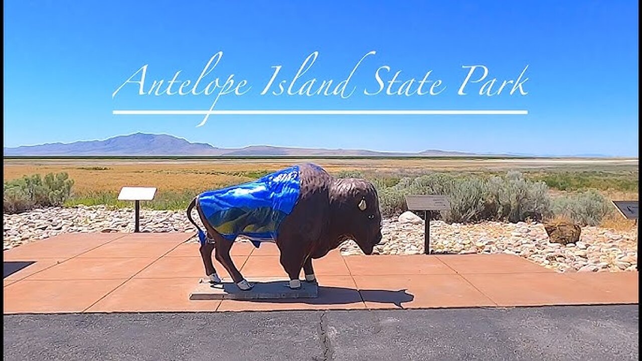 Buffalo and Backstories | A Live Journey Through Antelope Island