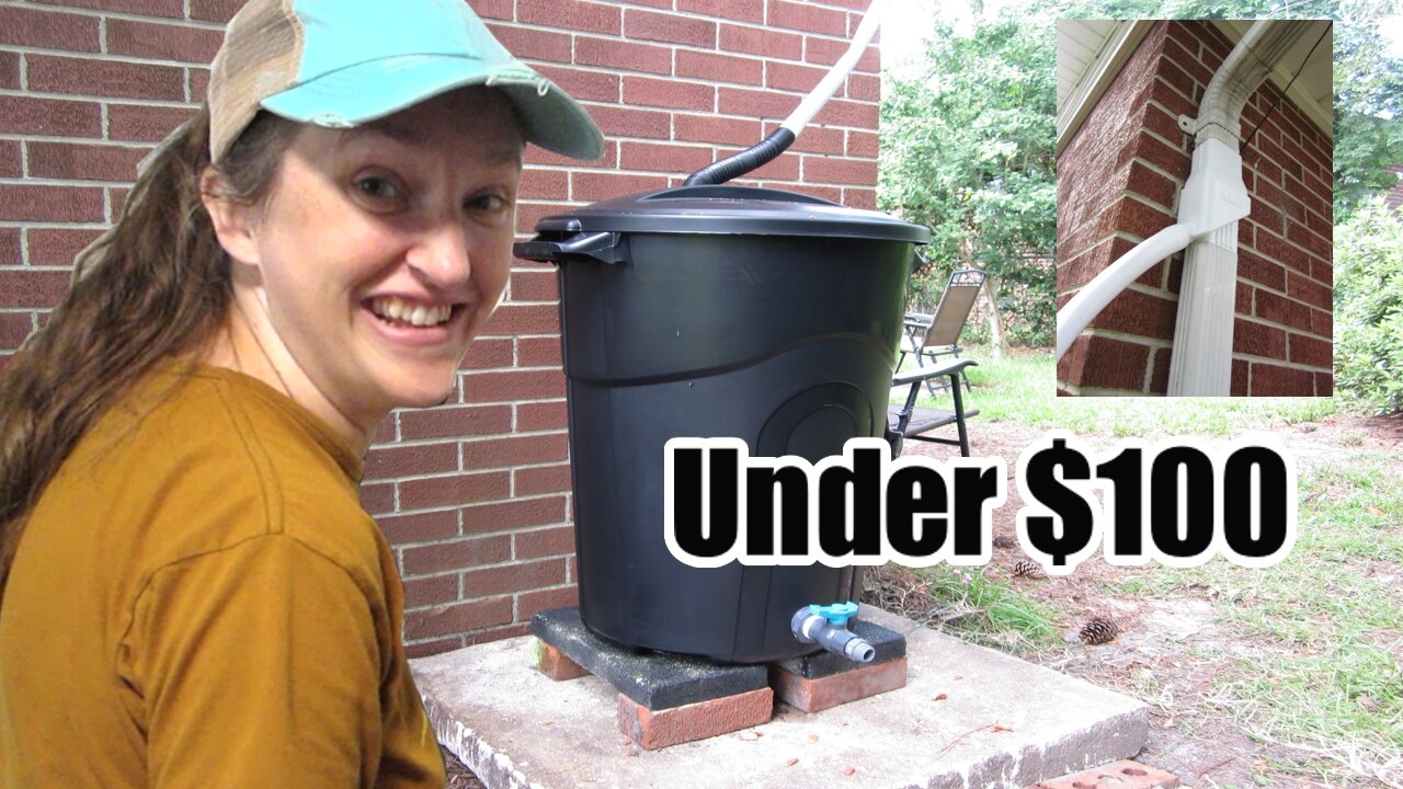 We Make A DIY Rain Barrel For Under $100 (Also the chickens got out) | OLHL Vlog #001