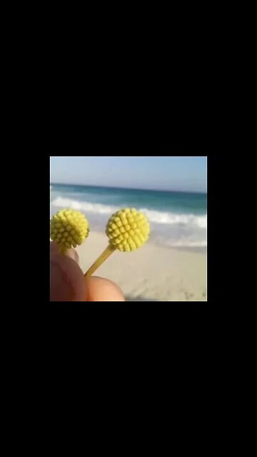 Watch That Cute little Creature From Nature #aeroarduino