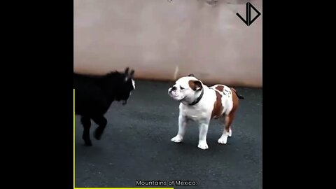 These moments are comedy 😂😂