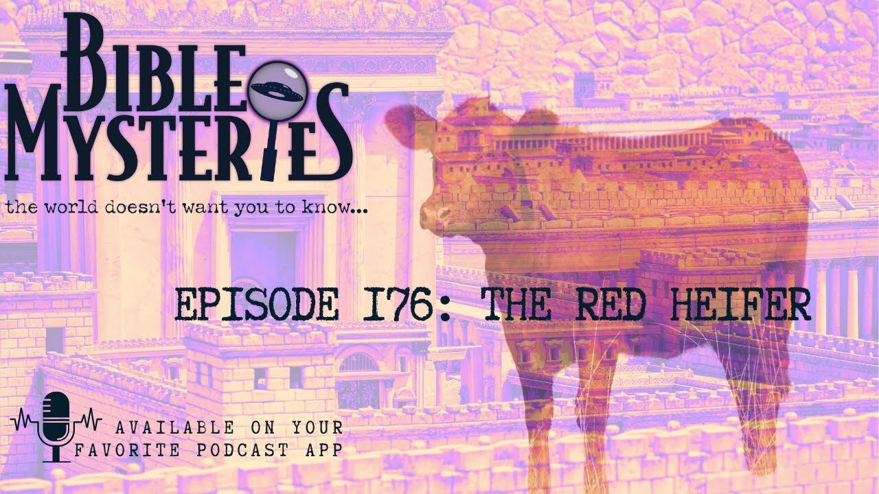 The Red Heifer - Is it a sign of the end times, Episode 176