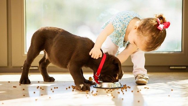 15 Minutes Dogs and Babies are Best Friends - Funny Compilation 2018