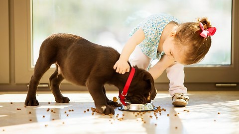 15 Minutes Dogs and Babies are Best Friends - Funny Compilation 2018