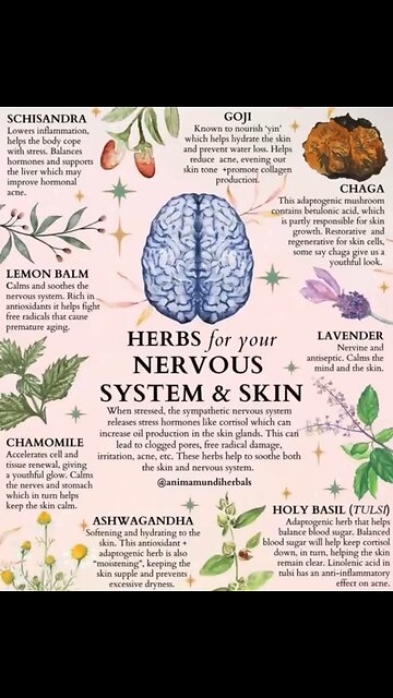 Natural Fix’s For Natural Issues? It’s Only Natural!