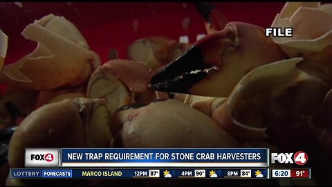 New recreational regulation for stone crab traps this season
