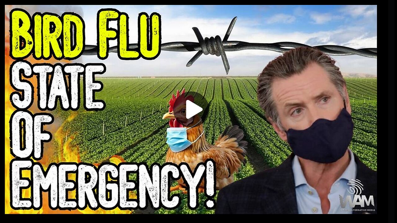 BIRD FLU STATE OF EMERGENCY!