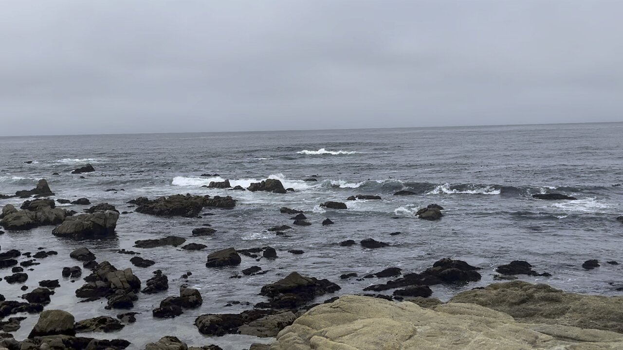 17 Mile Drive -Carmel,CA