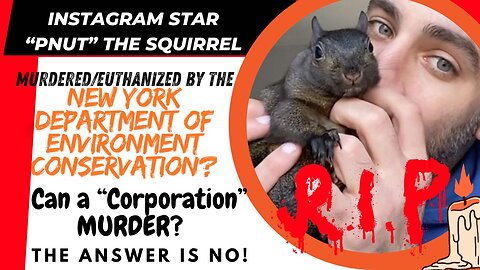 LIVE 7PM PST - PNUT The Squirrel Stolen & Murdered by an Agency?