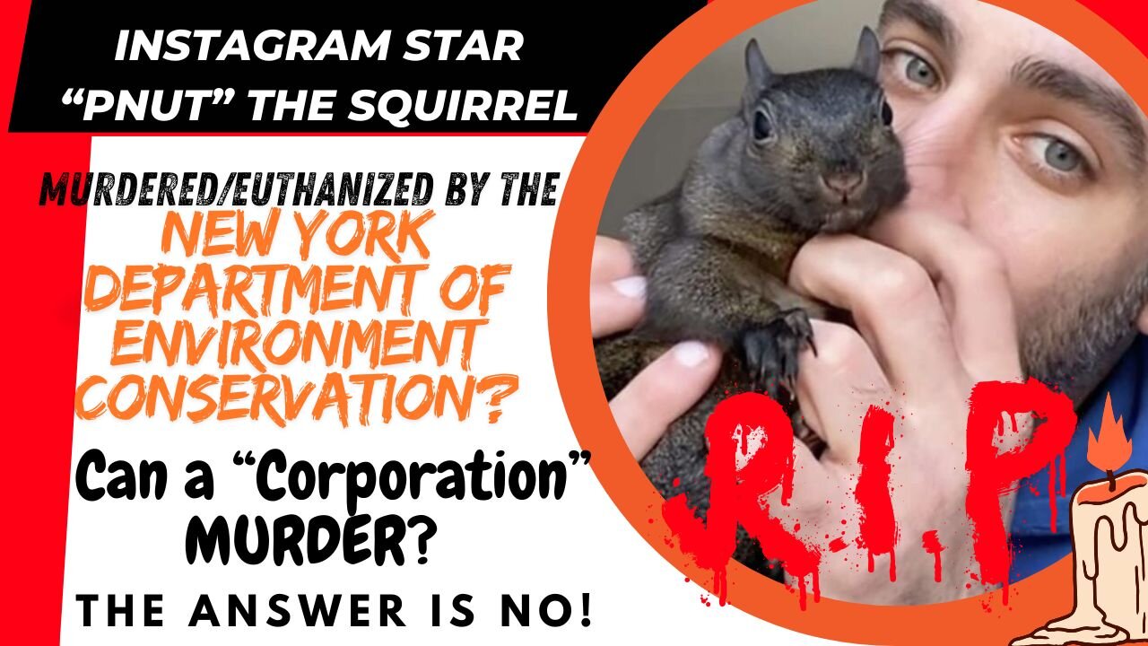 LIVE 7PM PST - PNUT The Squirrel Stolen & Murdered by an Agency?