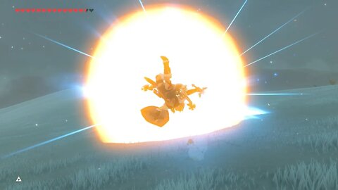 Breath of the Wild Master Mode 143