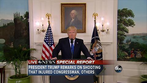 Trump's remarks on Virginia Shooting