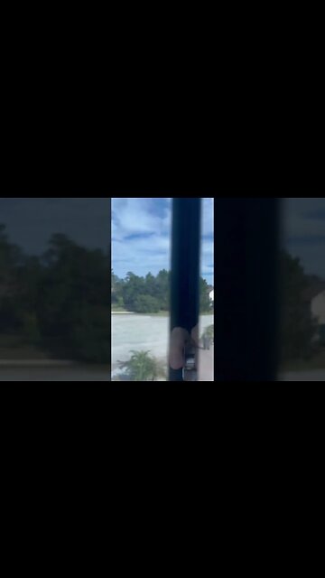 Unreal Phenomena, Thousands of Birds #rapture #apocalypse #birds #birdwatching