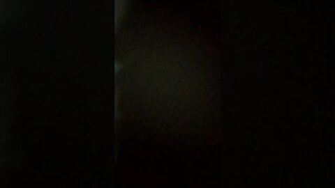 They had to get in some perp action just before leaving! Gang Stalking